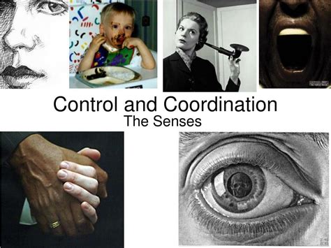 Image result for Coordination Command and Control