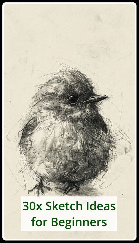 Sample Drawing 的图像结果