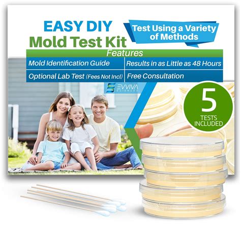 Evviva Sciences Mold Test Kit for Home - 5 Simple Detection Tests w ...