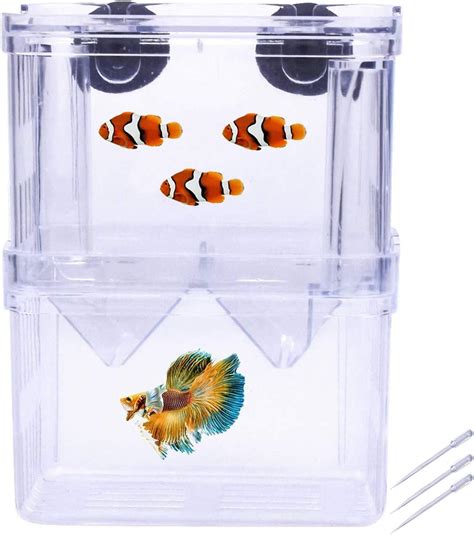 NothENIVING Fish Breeding Box Isolation Box Aquarium India | Ubuy
