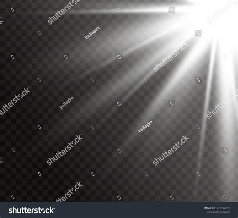 Translucent Light 的图像结果