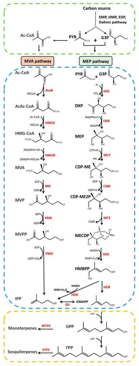 Biosynthesis Progress of High-Energy-Density Liquid Fuels Derived from ...