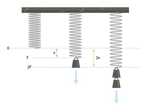 Spring Force Equation 的图像结果