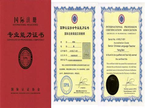 IPA国际注册汉语教师资格证对外汉语模拟试题docx.docx - 冰豆网