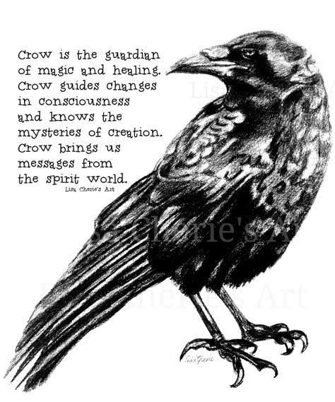 Best 13 Crow Spirit Animal: Meanings and Symbolism – Artofit