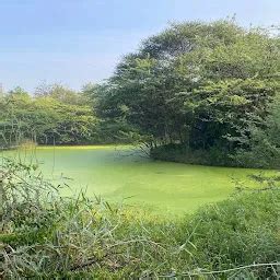 Mini Forest HBR Layout - Park - Bengaluru - Karnataka | Yappe.in