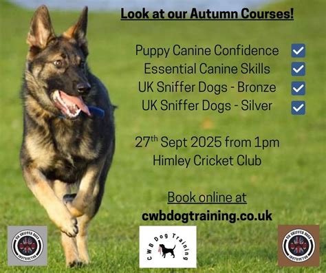 Autumn Courses now available to book, Himley Cricket Club, Dudley, 27 ...