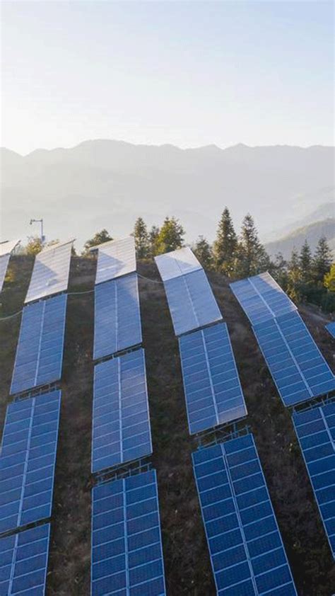 DP World targets 60% renewable power at Indian terminals by 2026