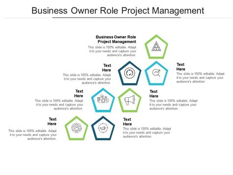 Image result for Project Owner Role