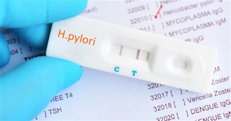 Helicobacter pylori – jedna bakteria, wiele skutków - Limanowa.in