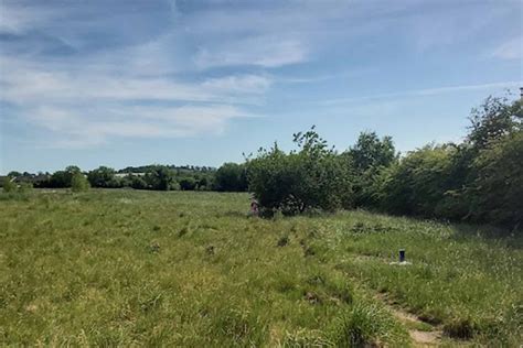 Image result for Back to Field