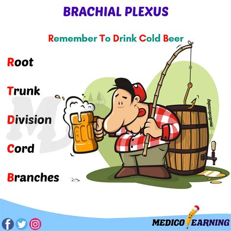 Brachial Plexus Mnemonic – MedicoLearning