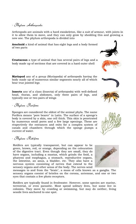 Classification of Plants and Animals | DOCX