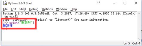 Python 3.6 Windows 的图像结果