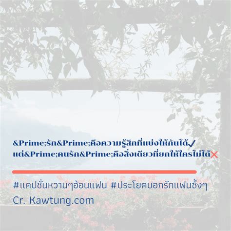 คำว่าแฟนไช