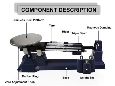Triple Beam Balance Labeled
