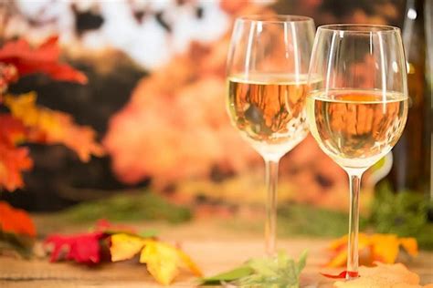 Camp Lavigne Wine Festival 2025, Camp Lavigne, Benton, 18 October 2025 ...