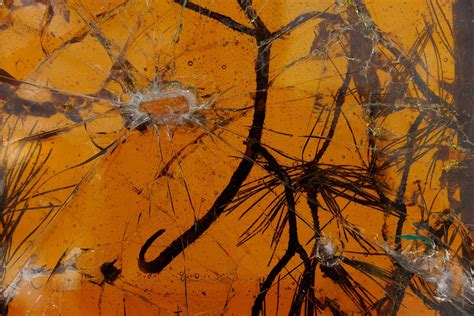 On hearing of an absence - Nikos Katsaros