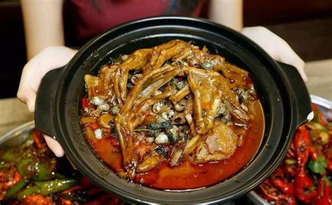 广西柳州有什么特色美食(广西柳州特色) | 灵猫网