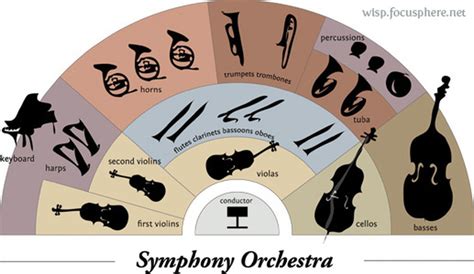 Image result for Orchestral Instruments