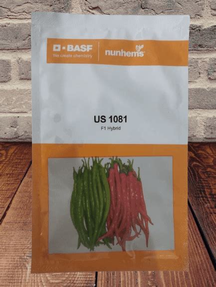 Buy US 1081 F1 Hybrid Chilli (BASF | Nunhems) Seeds Online | Farmers Stop