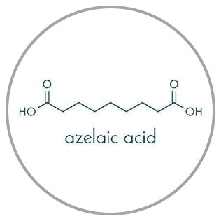 3% Kojic Acid Dark Spot Corrector Gel with Azelaic Acid 30g - The Derma Co
