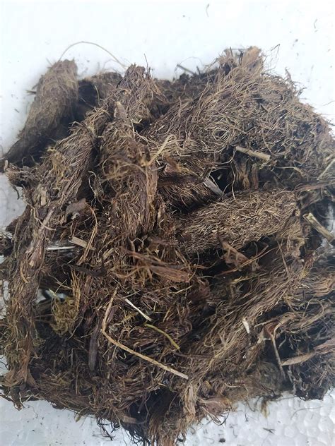 Buy Ambe Ayurveda - Jatamasi Root - Jatamansi Musk Root - Spikenard ...