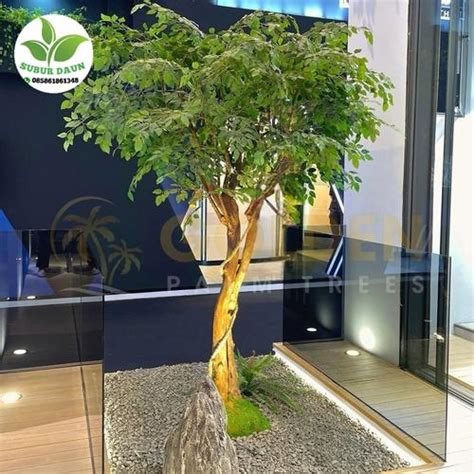 Jual Taman Zen Garden / Taman Konsep Jepang / Taman Kering Simple ...