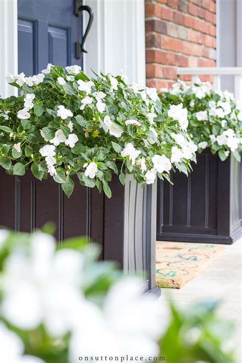 Garden Archives - On Sutton Place