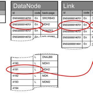 Image result for Database Synonym Table