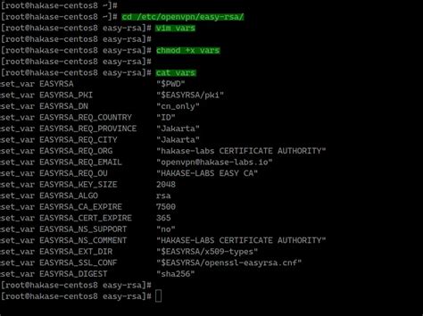 Easy-Rsa OpenVPN 的图像结果