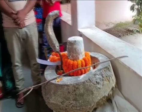 Shivalinga appears before court after summons sent to temple