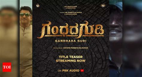 Puneeth Rajkumar's dream project with Amoghavarsha titled 'Gandhada ...