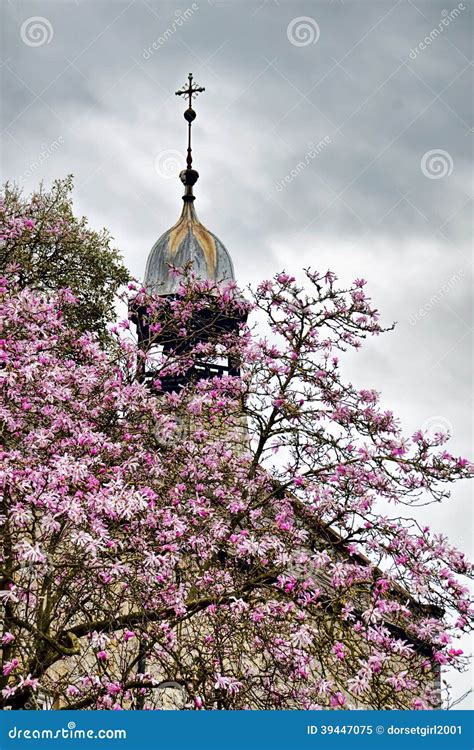 Peek Chapel with Magnolias stock image. Image of april - 39447075
