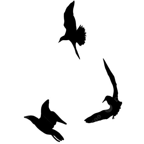 Birds Png Silhouette: Bird Silhouette Png Free – PGDTPV - silhouette of birds flying