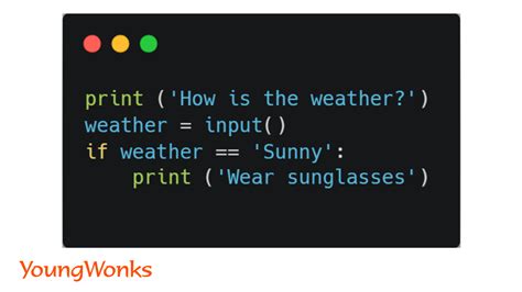 Use If Statements and Return Statement in Python Simple Function 的图像结果