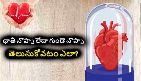 Heart Attack : ఏ రకమైన గుండె నొప్పి తీవ్రమైనది ? ఛాతీ నొప్పా లేదా గుండె ...