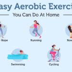 Exercise Examples 的图像结果