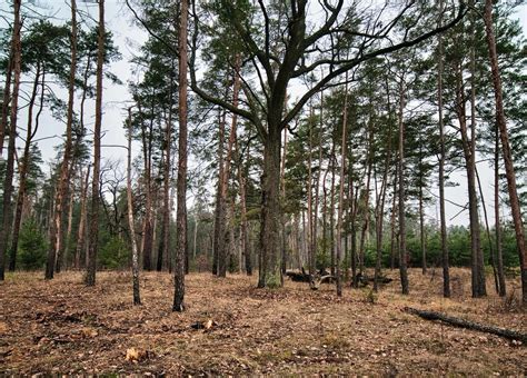 How to Sell Land Online | 7 Steps to Sell Land Virtually