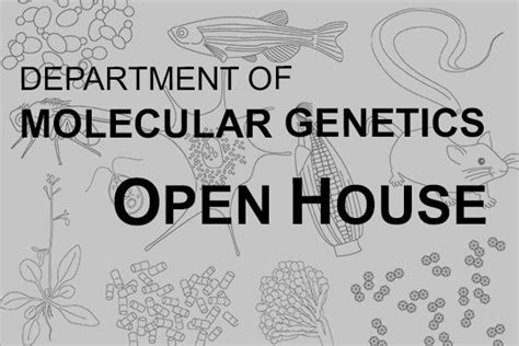 Molecular Genetics Lab 的图像结果