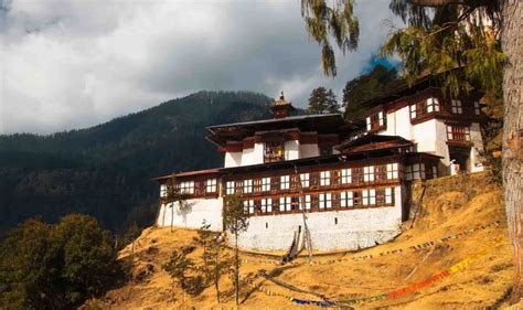 Image result for Bhutan Python Coders