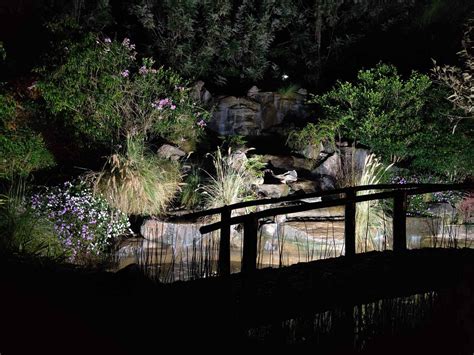 PALM ERA RESORTS (Coorg/Kushalnagar) - Hotel Reviews, Photos, Rate ...