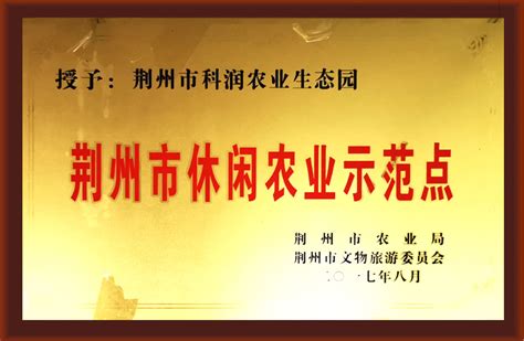 “荆街”举行“亮灯仪式 市民争相打卡荆州文旅新地标 - 荆州市文化和旅游局