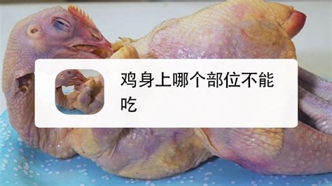 不吃鸡送什么礼物最新素材