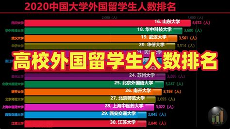 【数据可视化】2020 中国高校外国留学生人数最多的不是山东大学，而是他？| 您所在的大学外国留学生多吗？