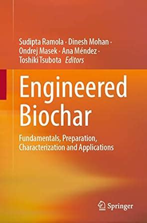 Engineered Biochar: Fundamentals, Preparation, Characterization and ...