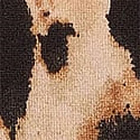 Buy Very Sexy Panties Online at Best Price | Victoria's Secret India