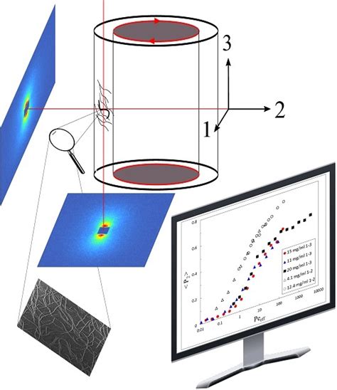 The Connection between Biaxial Orientation and Shear Thinning for Quasi ...