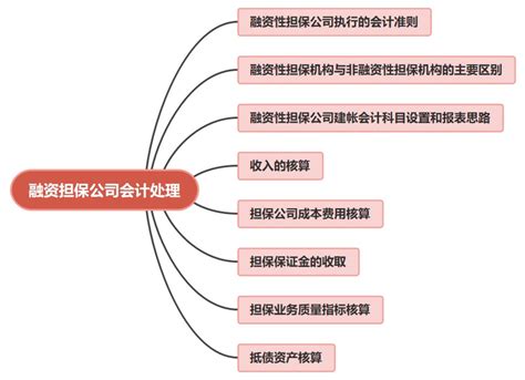 融资担保公司会计账务处理