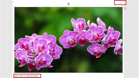 Image result for Net Core Entity Framework Example